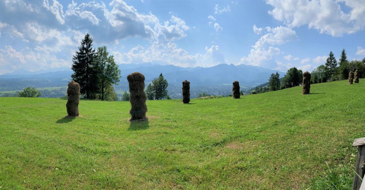 Willa Dolina Harenda Zakopane Buitenkant foto